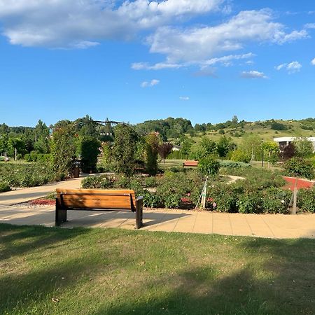 Vila Cu Mesteceni Campina Bagian luar foto