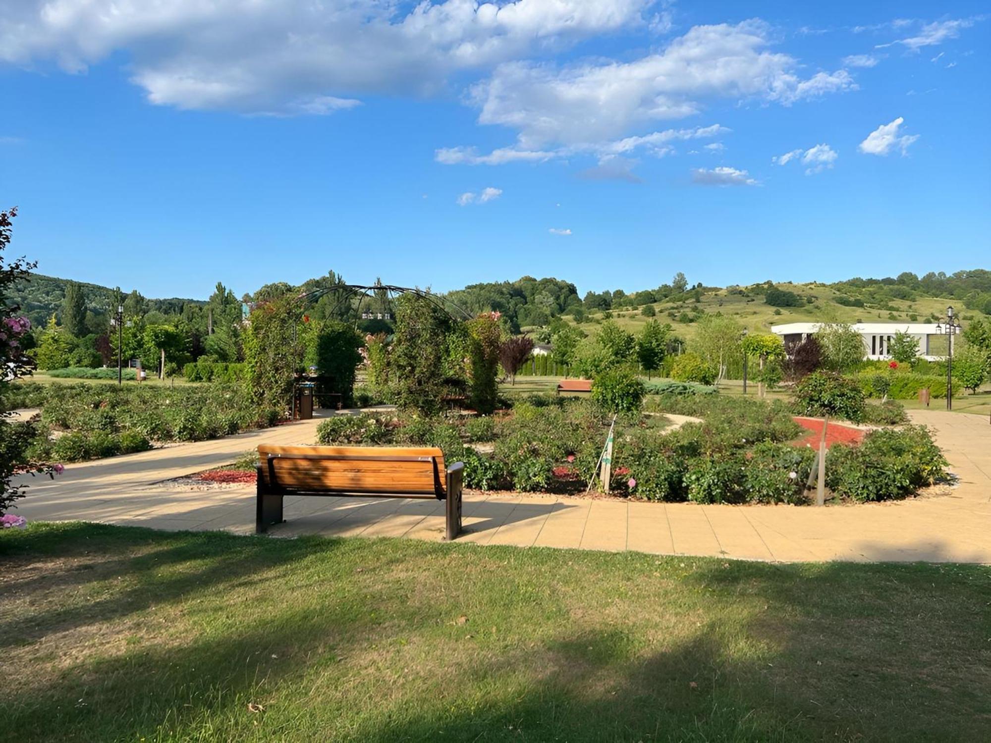 Vila Cu Mesteceni Campina Bagian luar foto