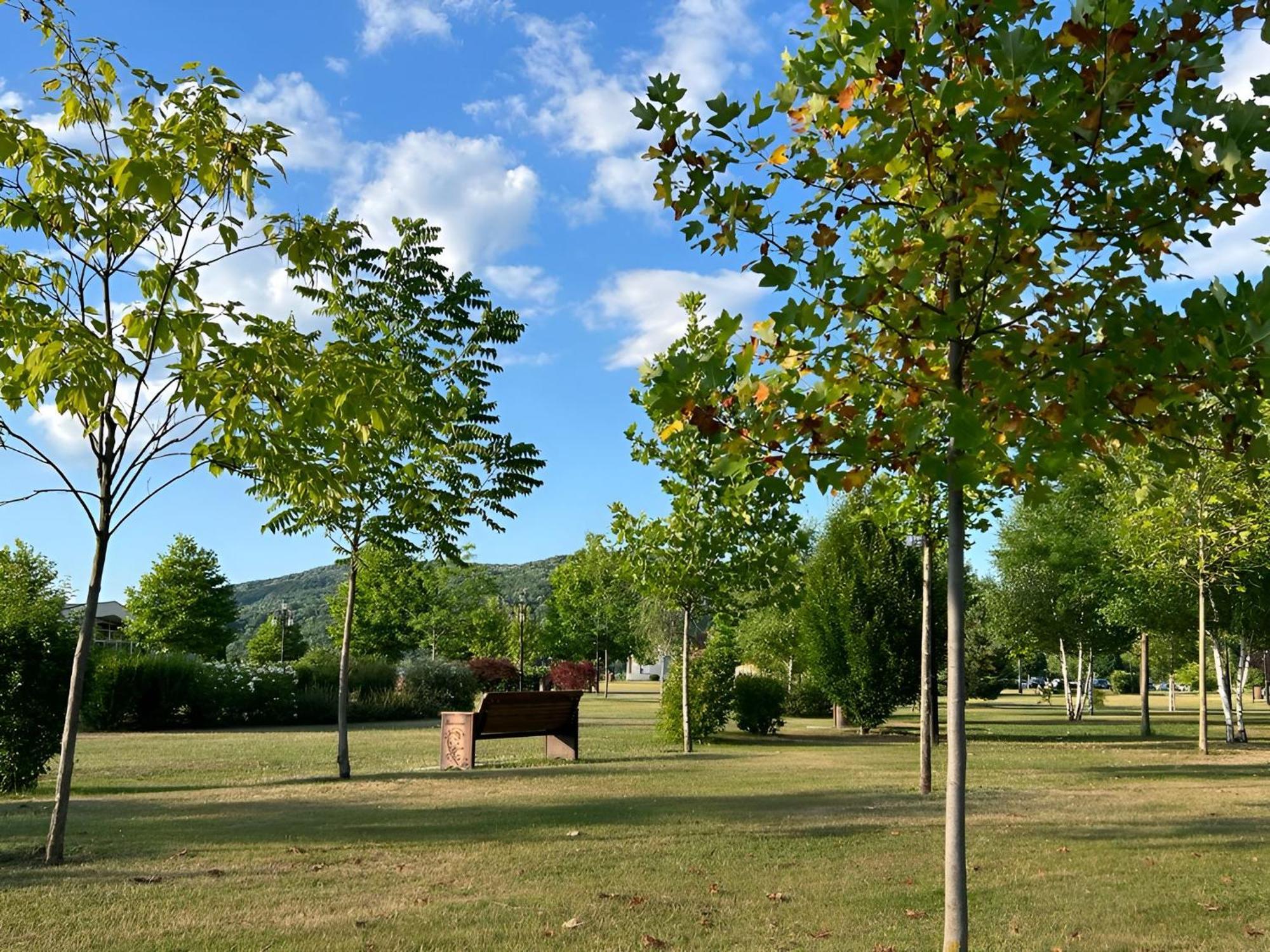 Vila Cu Mesteceni Campina Bagian luar foto
