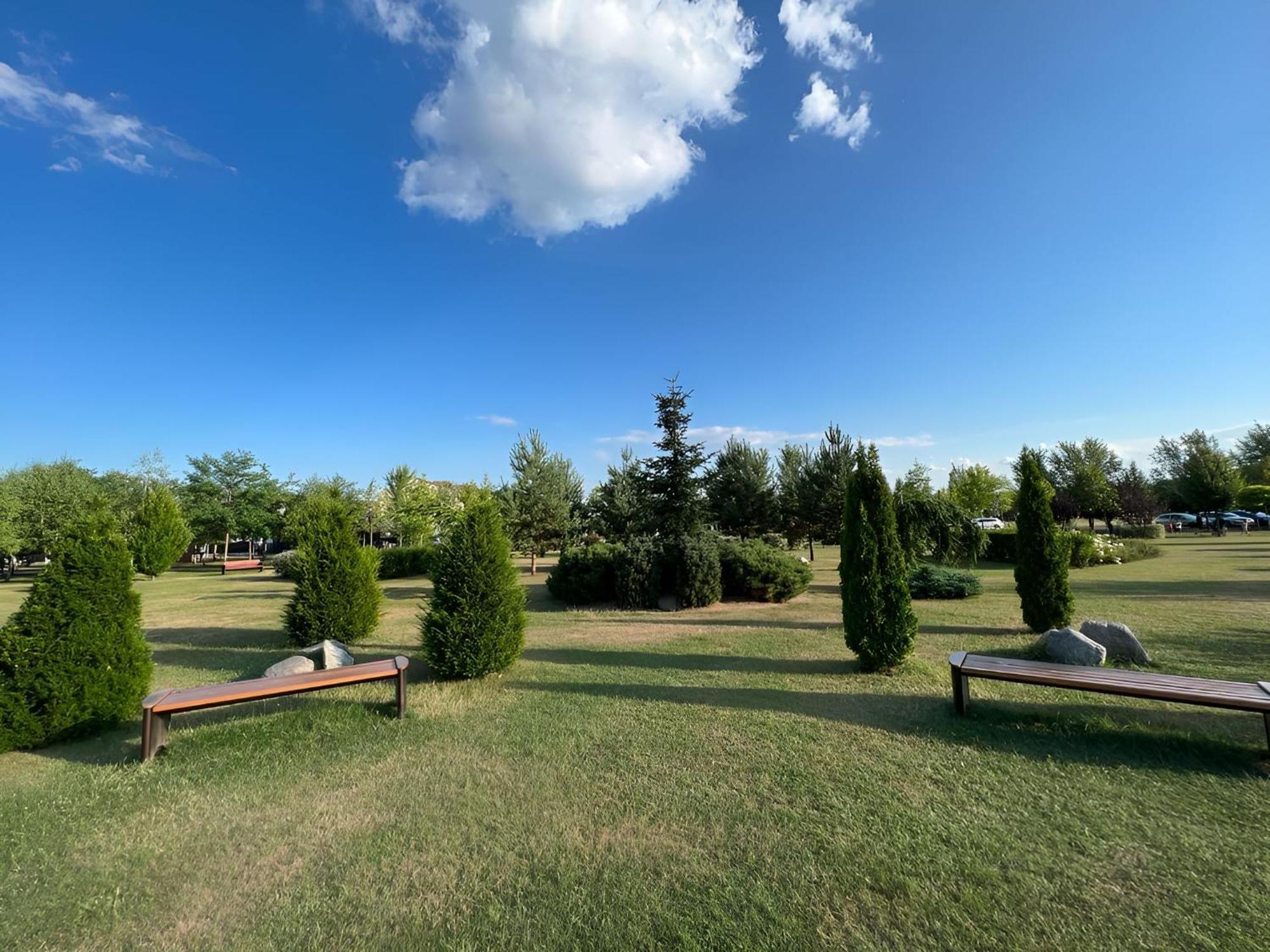 Vila Cu Mesteceni Campina Bagian luar foto